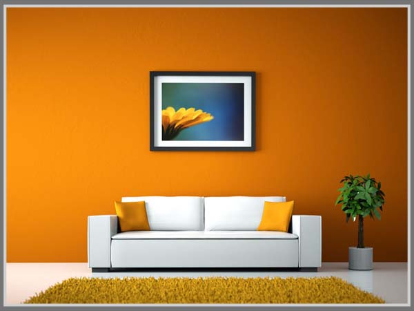 Paduan Warna Di Ruang Tamu